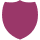 shield icon